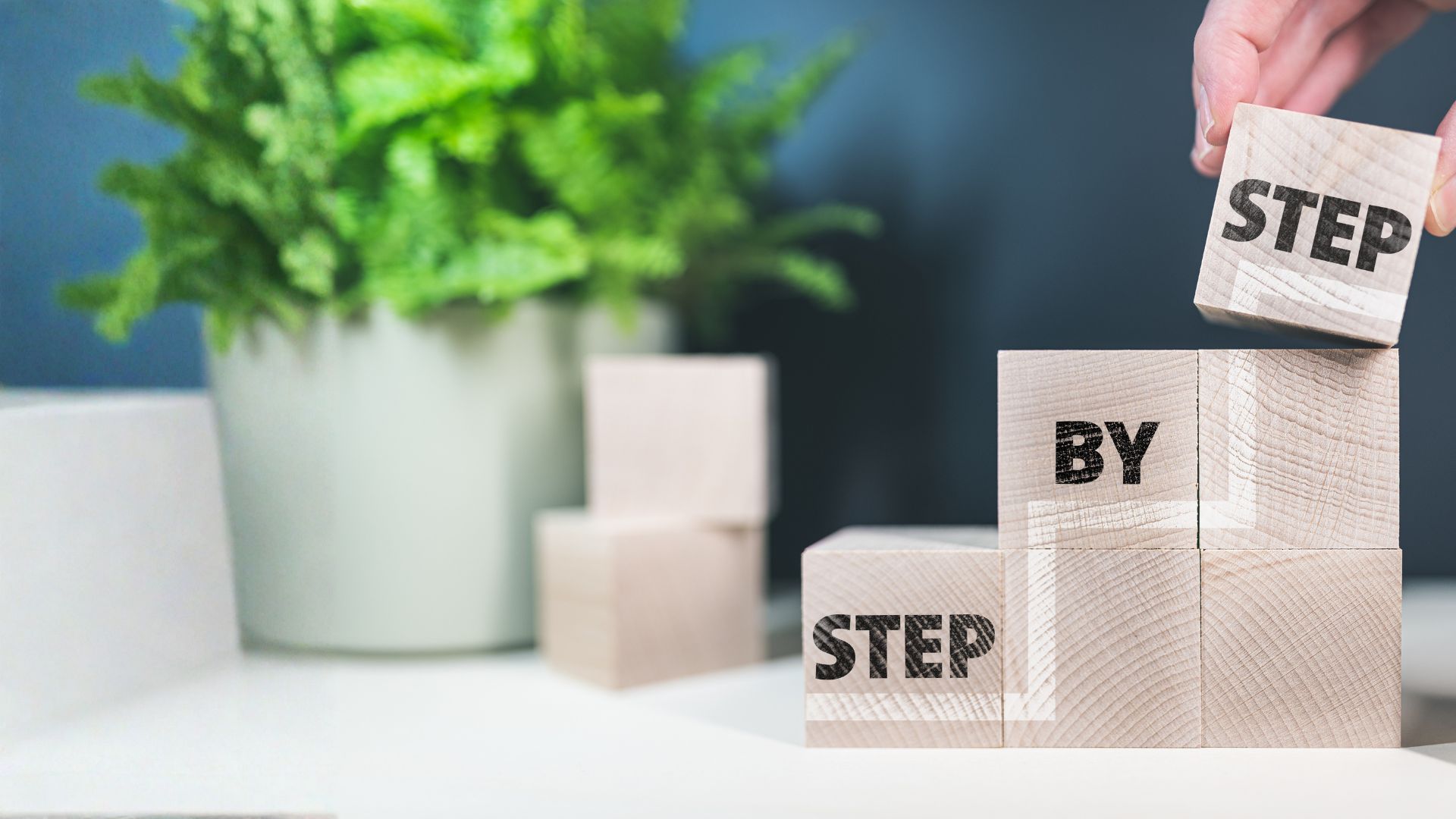 Attorney reading legal guide